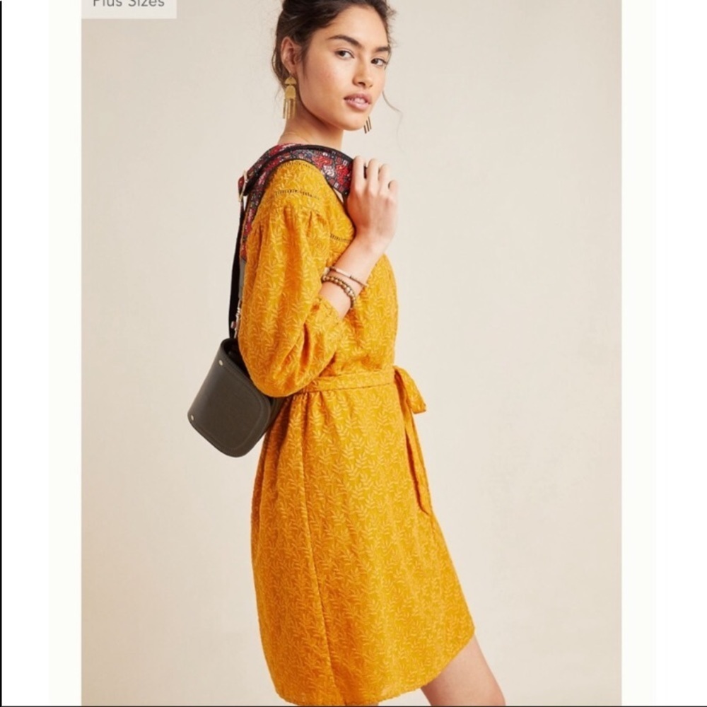 NWT anthropologie Treva embroidered tunic dress L